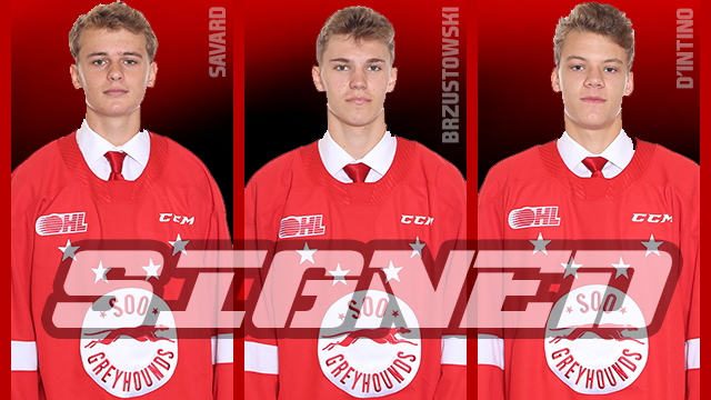 D’Intino, Savard, Brzustowski Sign to the Soo Greyhounds for 2021-2022