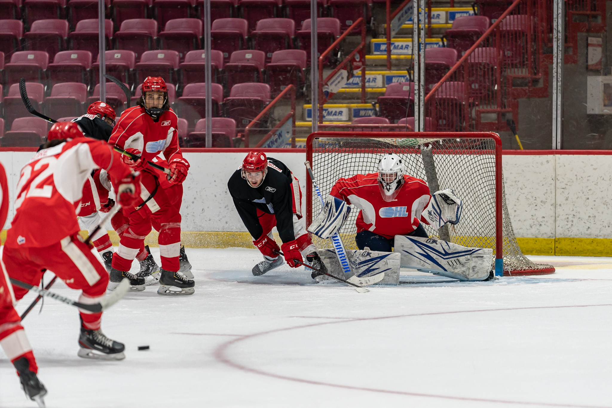 Greyhound Cut Numbers Down After 2021 Training Camp Comes to a Close