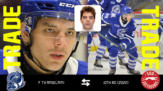 Third Acquisition at the OHL Deadline for Greyhounds, Ty Anselmini from the Mississauga Steelheads