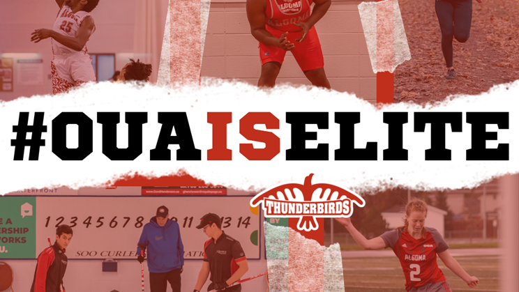 We Are Elite, Why Do You PAUSE Us Again