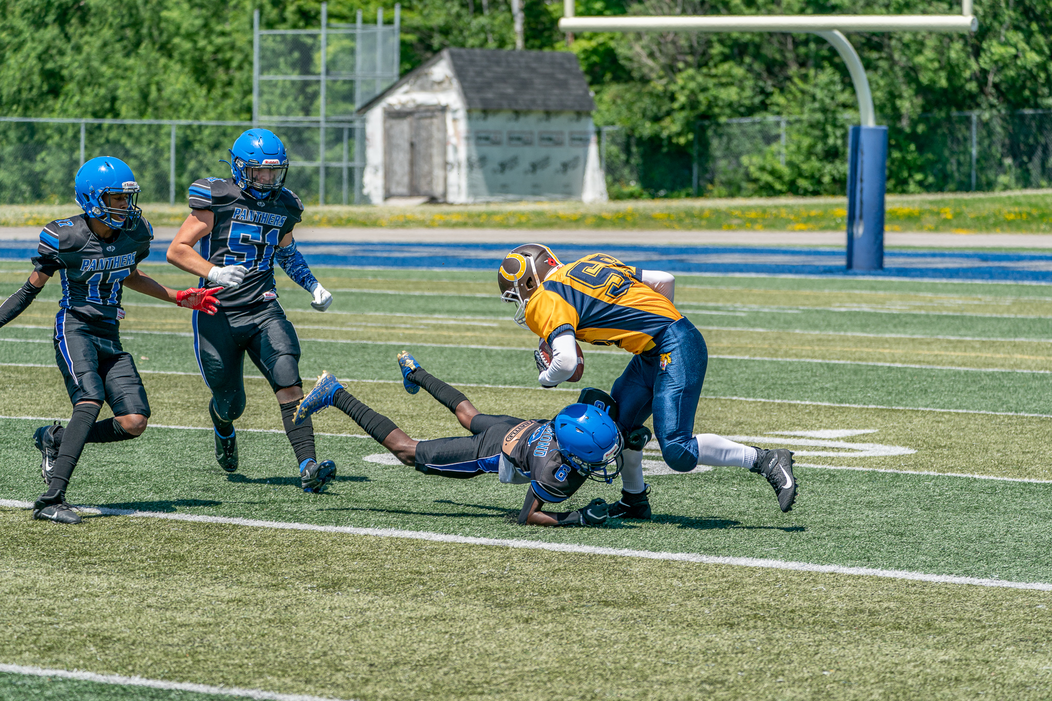 Sabercats Fall to the Visiting Panthers in OFSL Junior Football Action