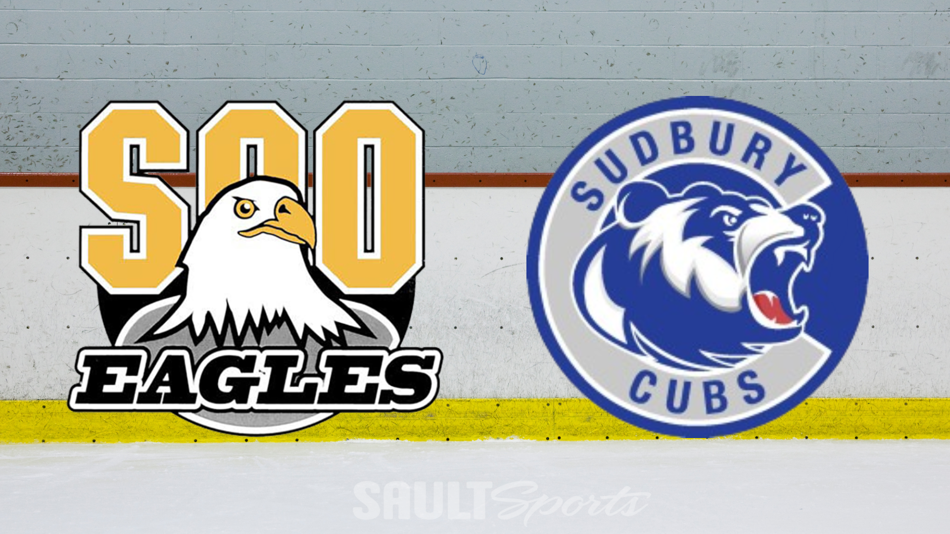 Eagles Fall to the Cubs on the Road in NOJHL West Division Action