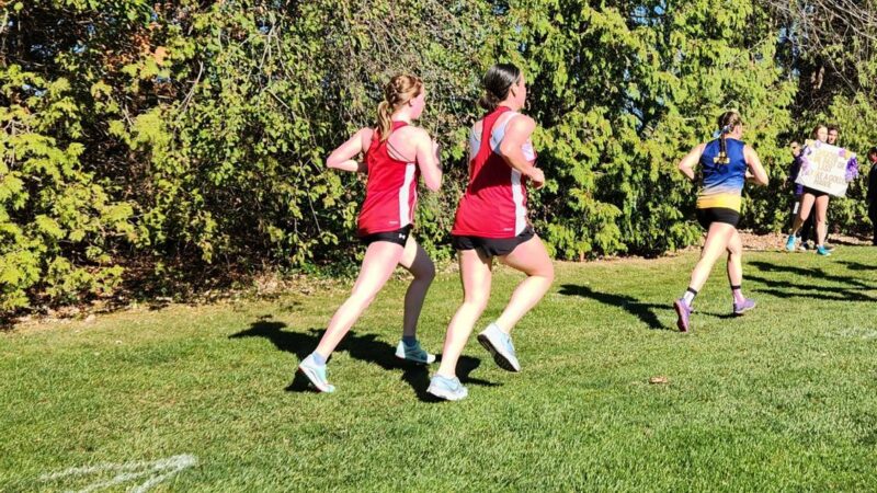 Algoma Thunderbird 2022 Cross Country Season Ends at Ontario University Athletics Championships in London