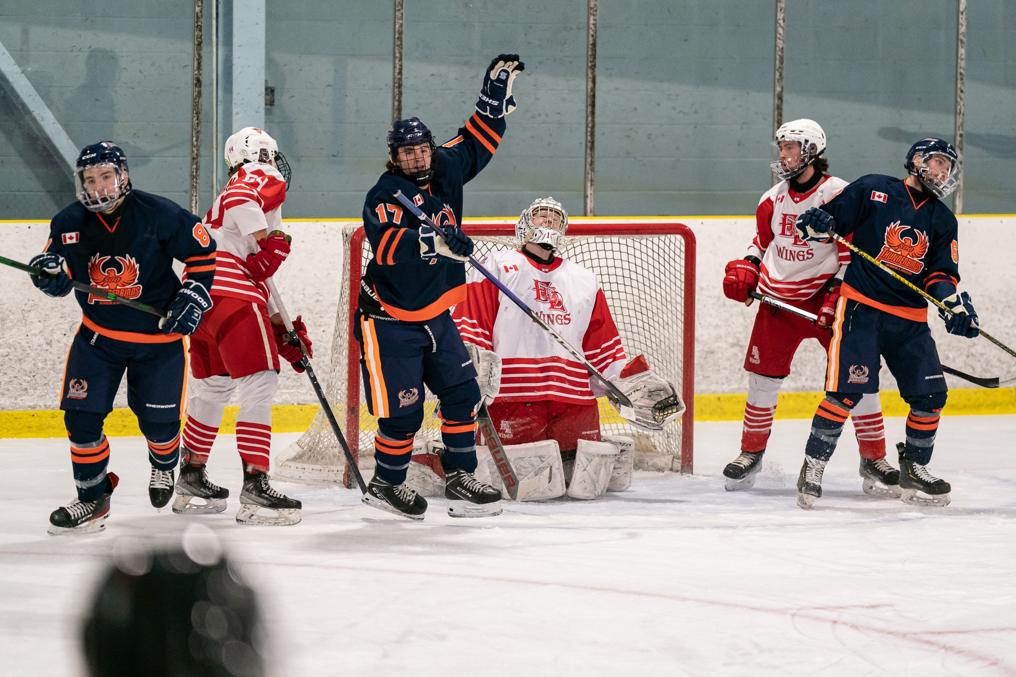 Thunderbirds Soar Past Visiting Red Wings in West Division Action