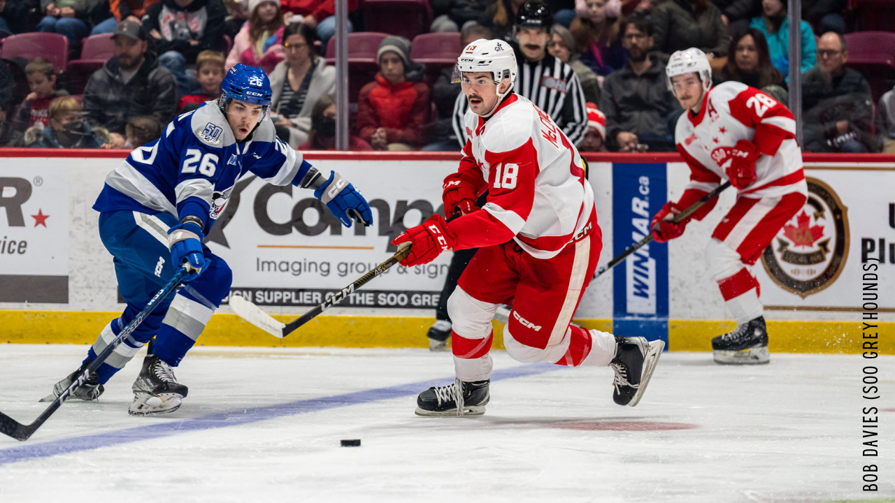 Greyhounds Close Out 2022 with a Loss to the Wolves in Sault Ste Marie