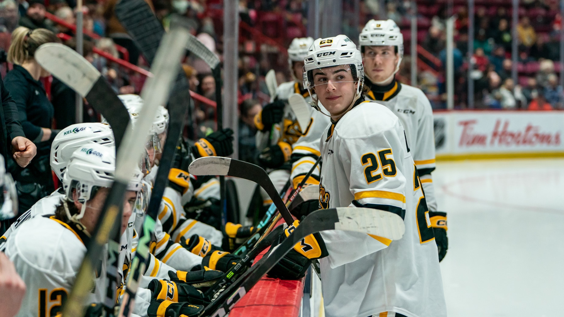 Three Third Period Goals Gives Sting Win Over Greyhounds in Sault Ste Marie