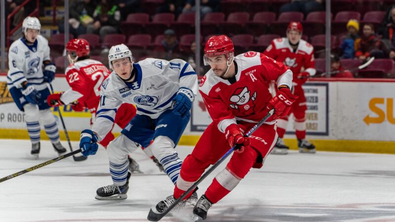 Greyhounds Losing Streak Extends to Seven After Home Loss to Steelheads
