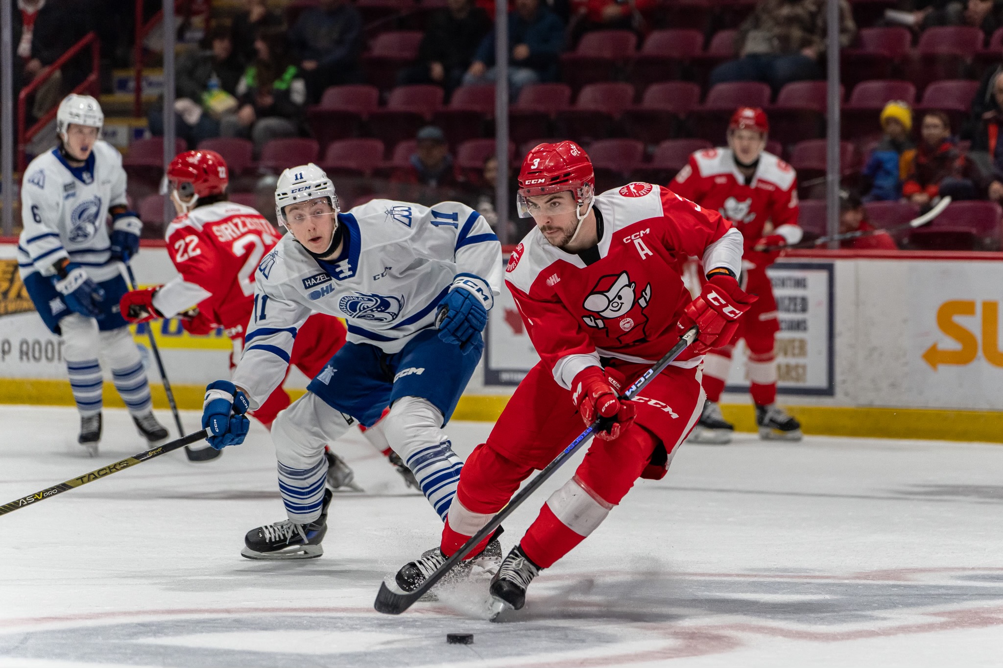 Greyhounds Losing Streak Extends to Seven After Home Loss to Steelheads