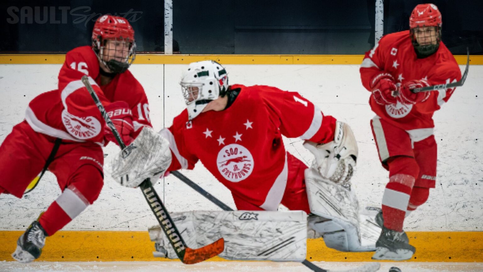 Fletcher, McAuley, Roach Join Thunderbird Roster for 2023/2024