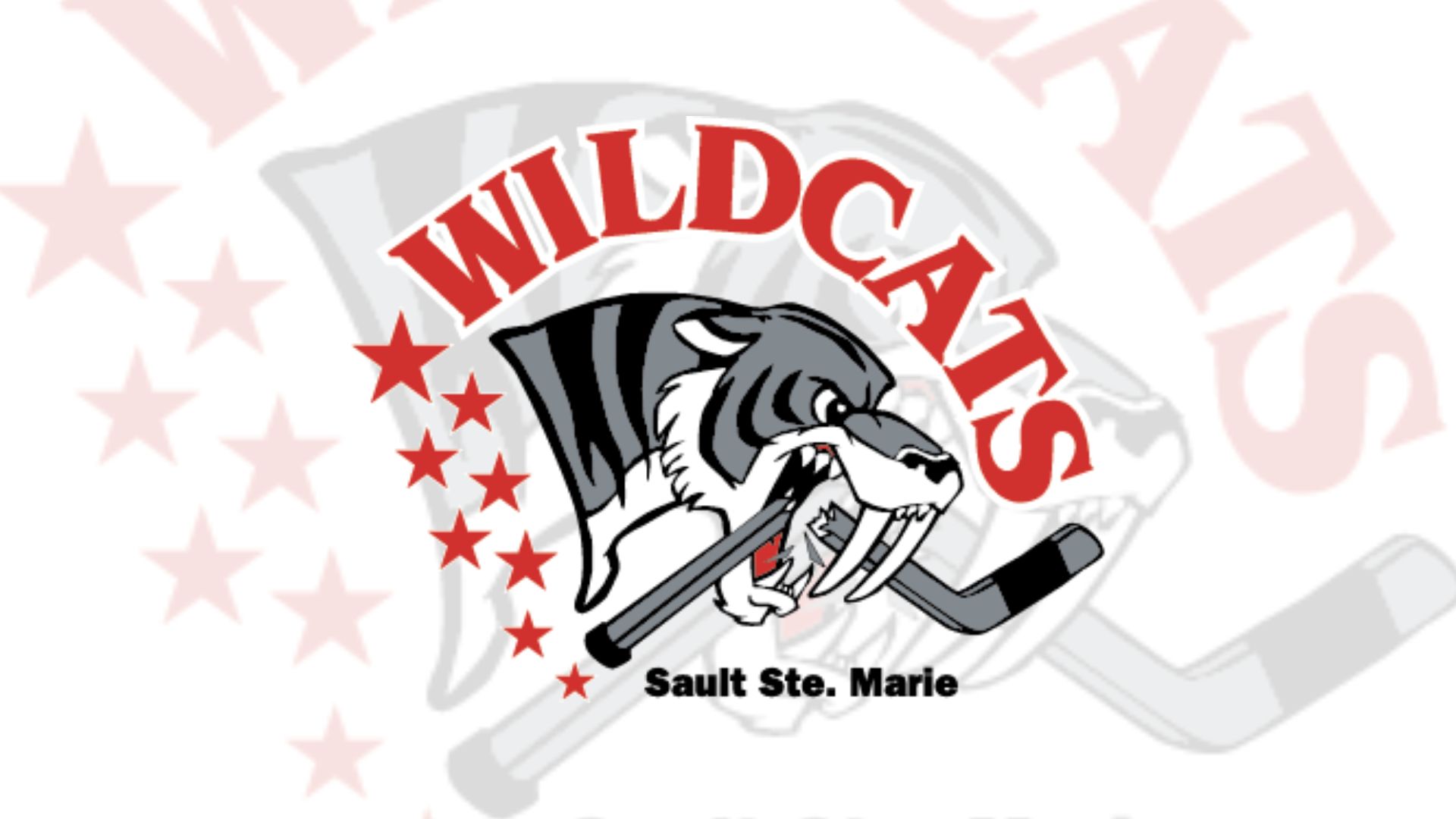 Register Early, Wildcats House League Early-Bird Registration Available!