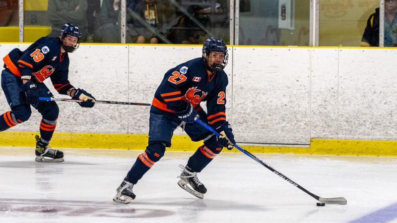 Thunderbirds Lose to the Paper Kings in Chippy Affair in Espanola