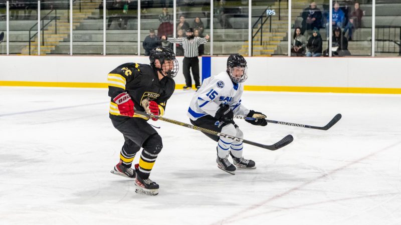 Sault College Cougars Back to Back Wins Over Michigan Tech Wolfpack at Home