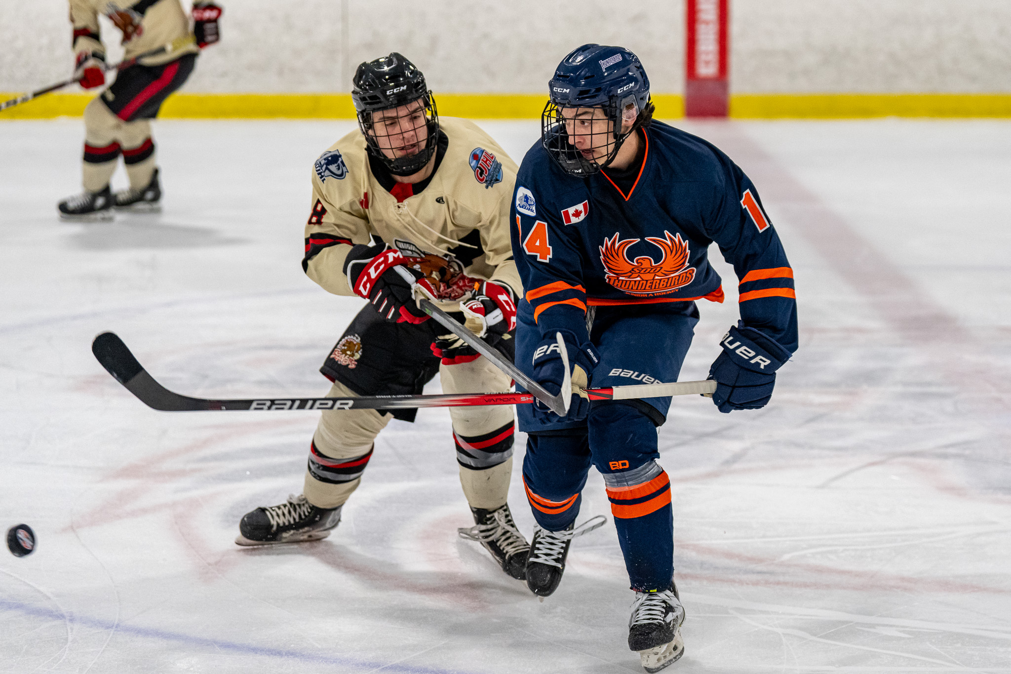 Beavers Extend Winning Streak to Ten After Doubling Up on Thunderbirds