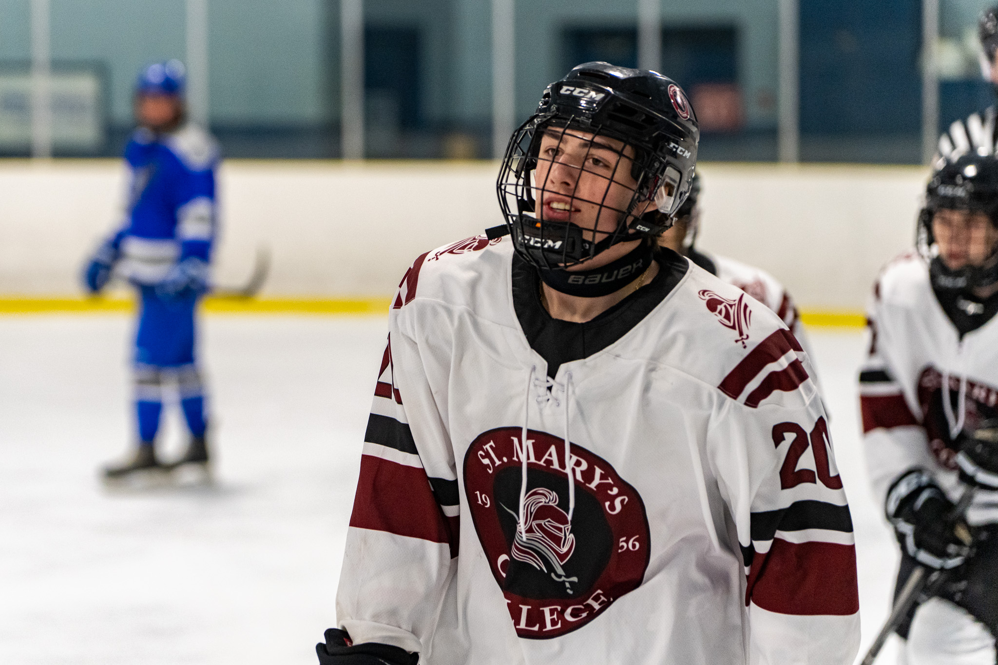 Guzzo Registers Five Points in Knights Win Over Steelhawks