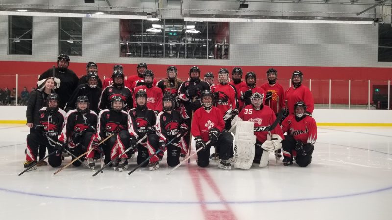 Sault Ste Marie to Host 2024 Northeast Regional Ringette Tournament, March 22 to 24