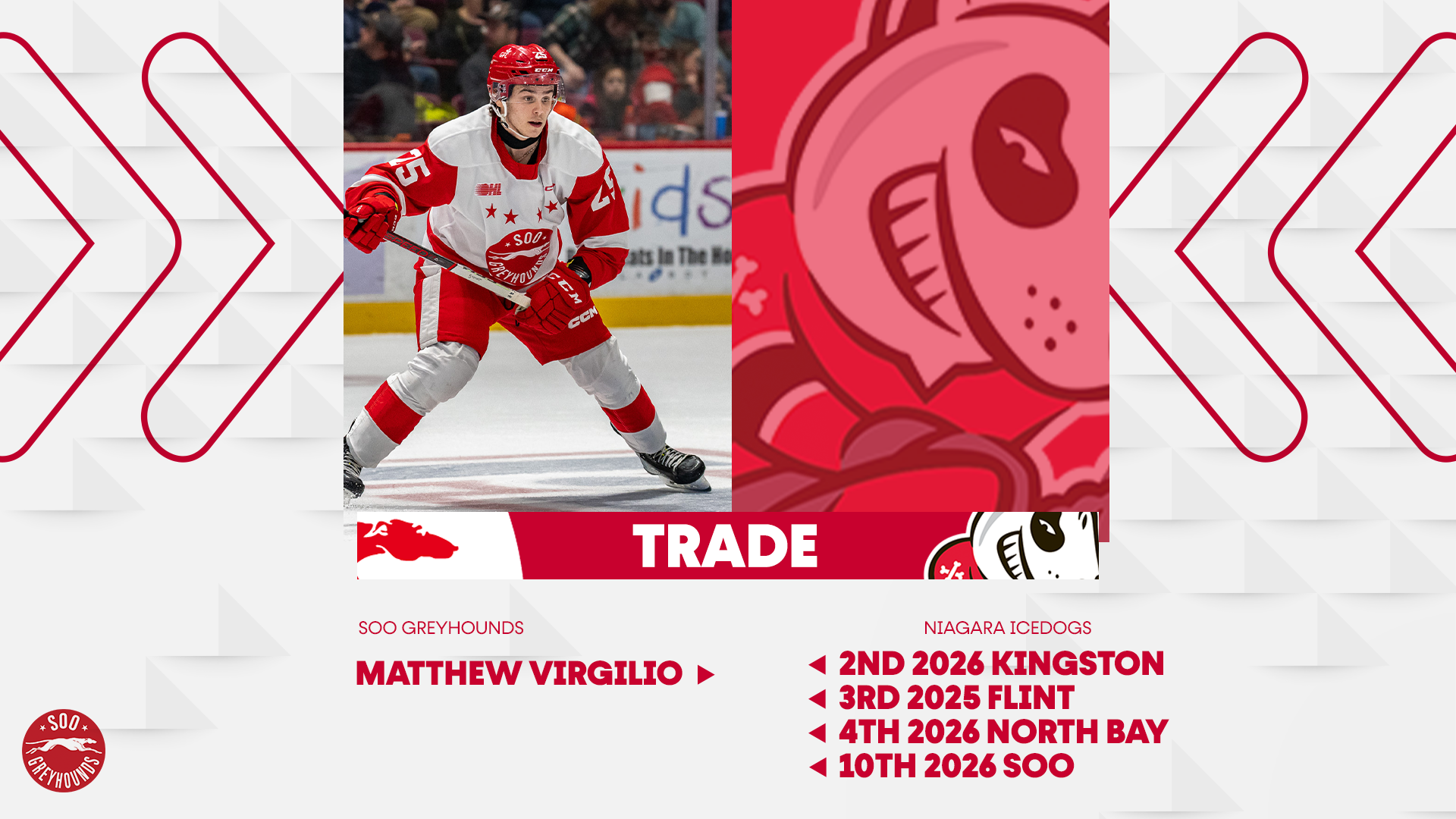 Greyhound Defenseman Matthew Virgilio Headed to Ice Dogs in Exchange for Draft Picks