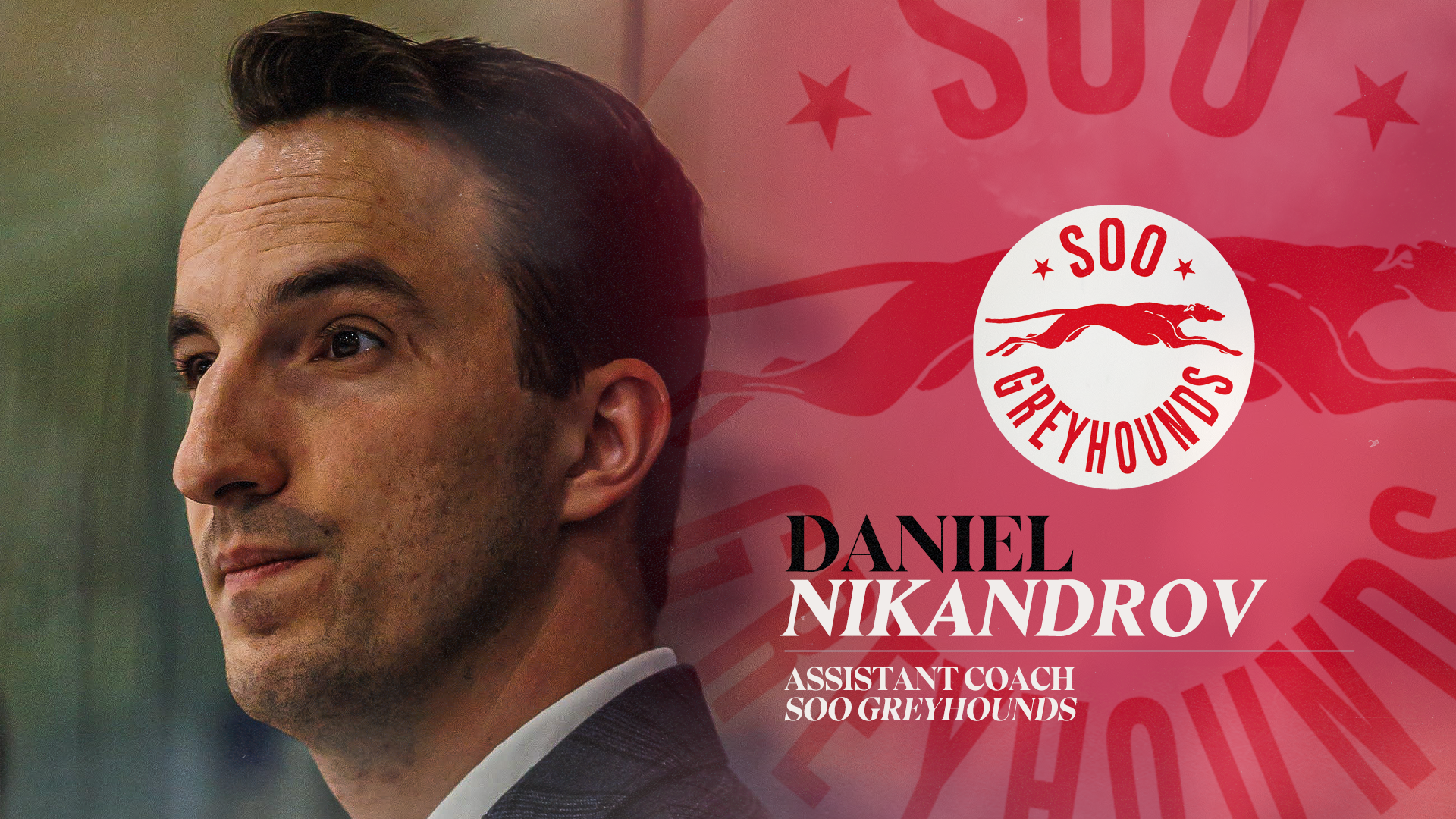 Daniel Nikandrov Joins Soo Greyhounds Coaching Staff as an Assistant Coach