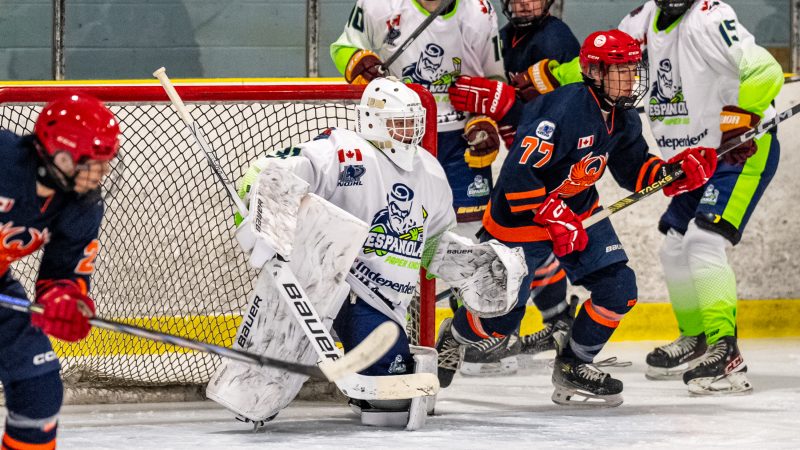 Thunderbirds soar past Paper Kings in Exhibition Action in Sault Ste Marie