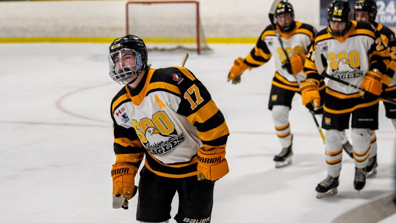 Eagles Earn Win Over Visiting Gold Miners at the Pullar