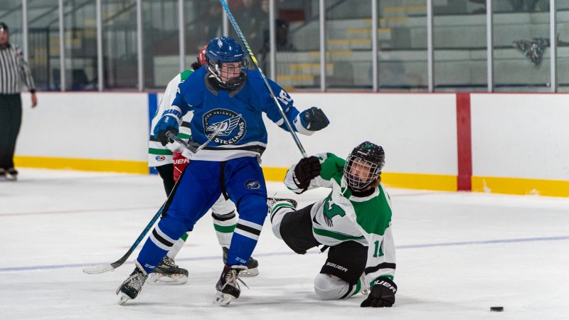 Wolverines Fall to Steelhawks in Opening Game of the 2024/25 High School Season