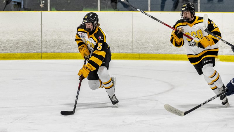 Balanced Soo Offensive Effort Gives Eagles Win Over Visiting Beavers