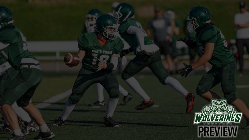 High School Junior Wolverine Football Preview | Tons of Opportunities to Get Out and Play the Game They Love