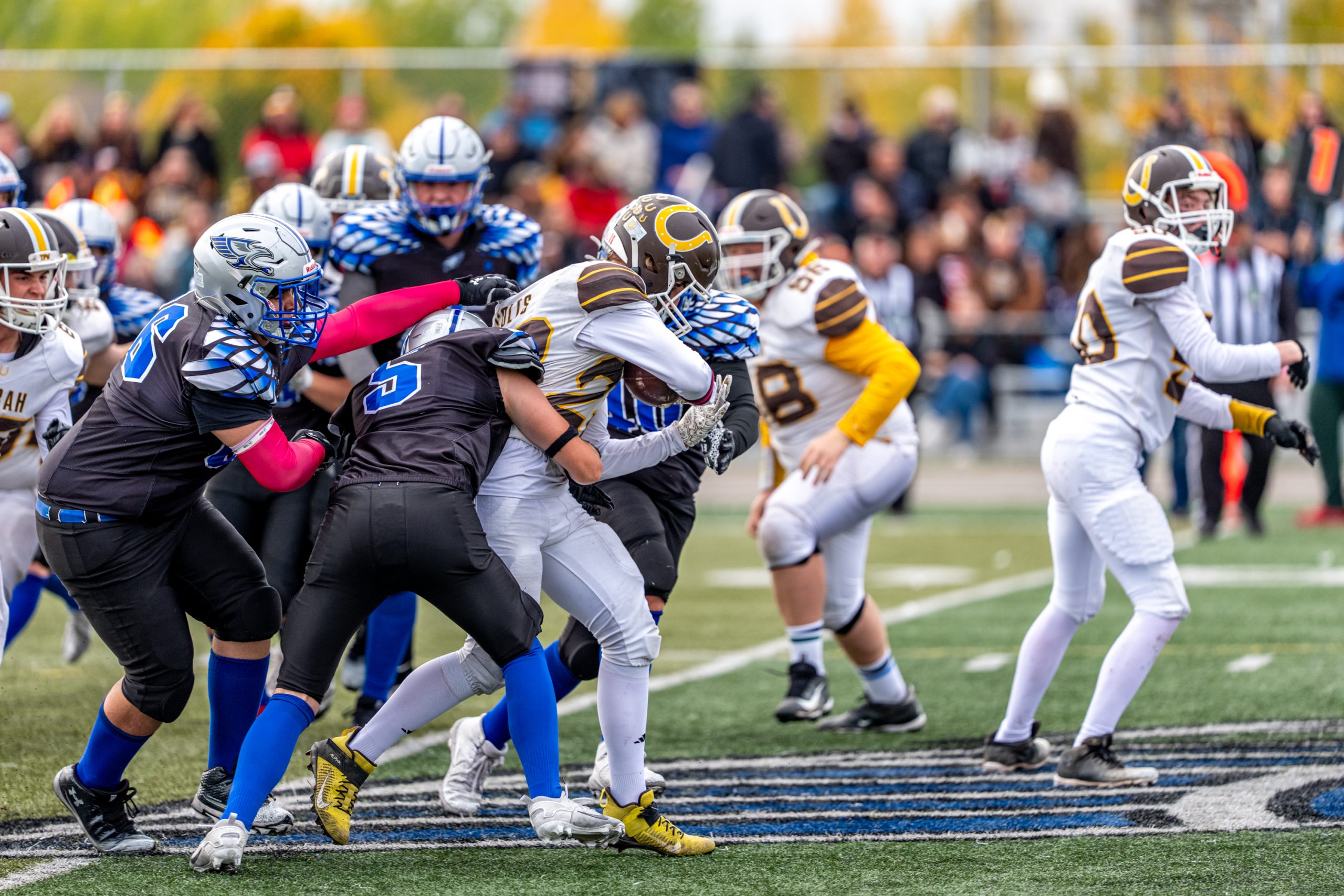 Colts Advance to the 2025 Junior Football City Final with Win Over Steelhawks
