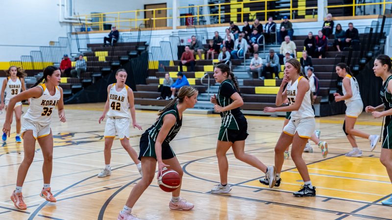 Colts and Wolverines Split in High School Girls Basketball Action
