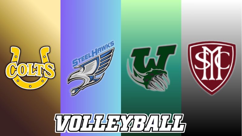 Steelhawks and Knights Fall on Night Two of Sault Ste. Marie Boys Volleyball Week Two