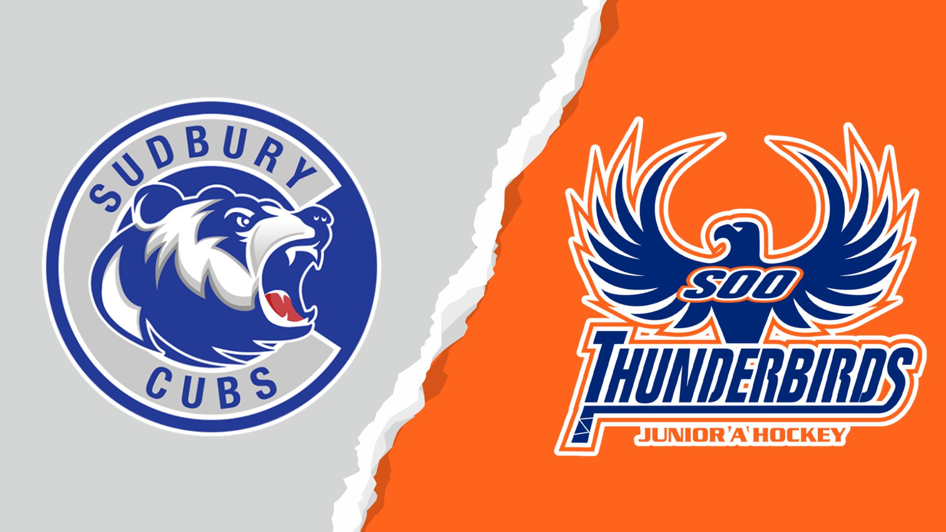 Thunderbirds and Cubs Battle to Overtime Draw in Tight NOJHL Matchup in Sault Ste Marie
