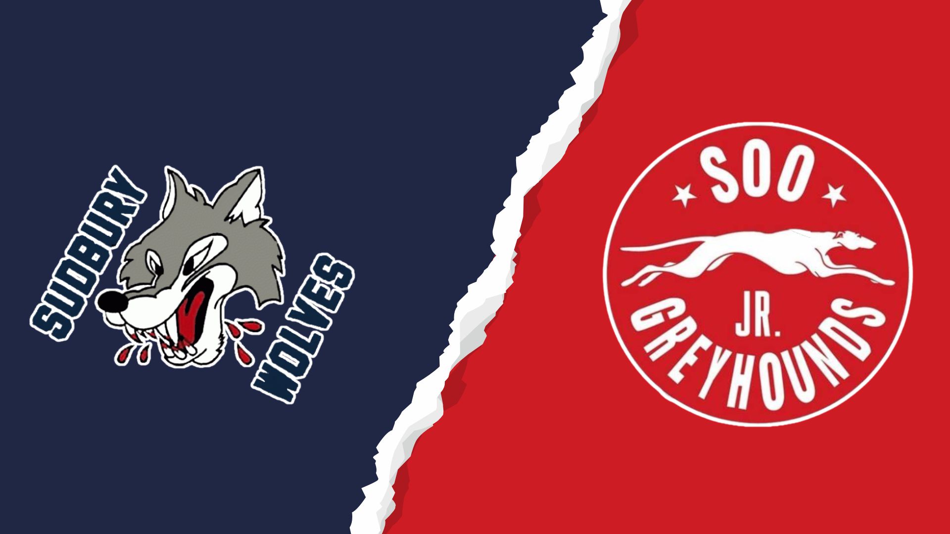 U16 Greyhounds Aims for Consistency, Smarter Puck Play with Meeting the Sudbury U16 Wolves in Sault Ste Marie