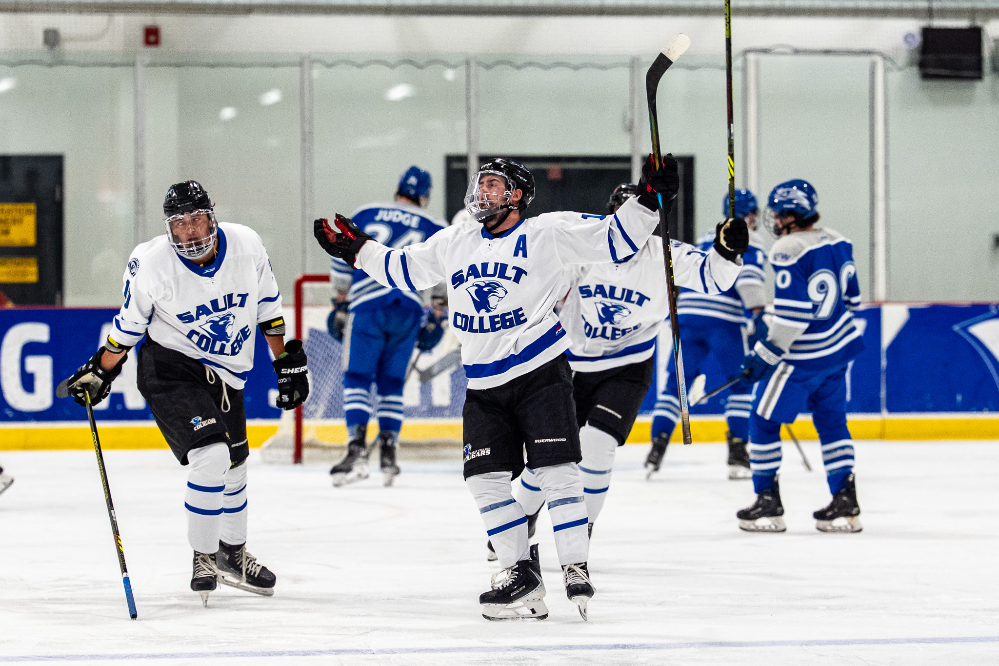 Sault College Cougars Open Season at Home with Victory Over Concordia Falcons