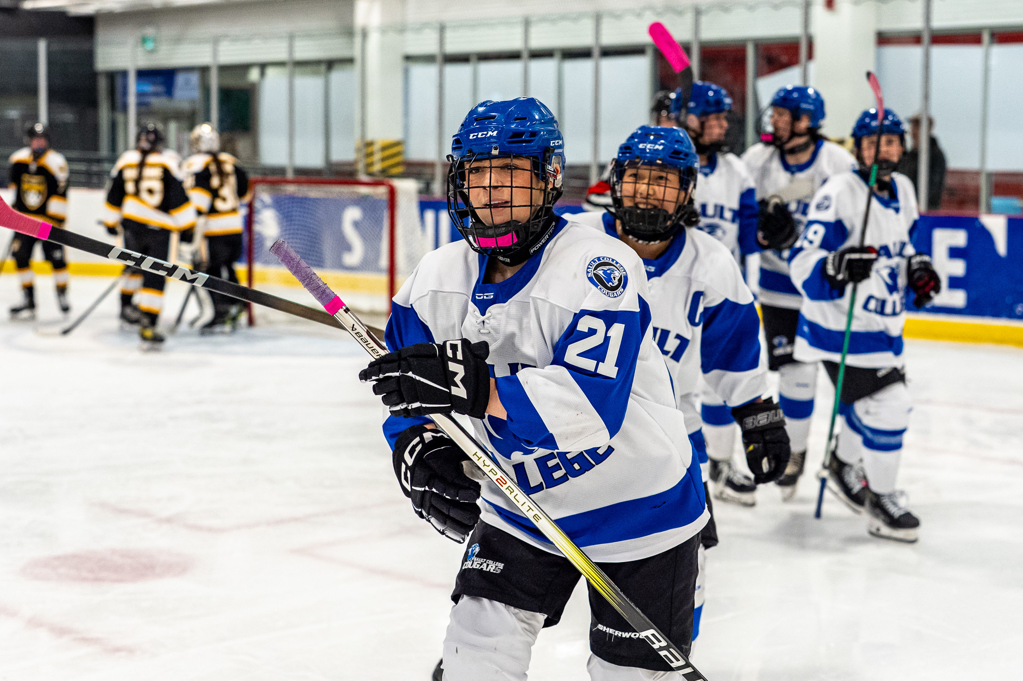 Cougars Dominate Weekend Series, Blank Bulldogs in Back-to-Back Victories