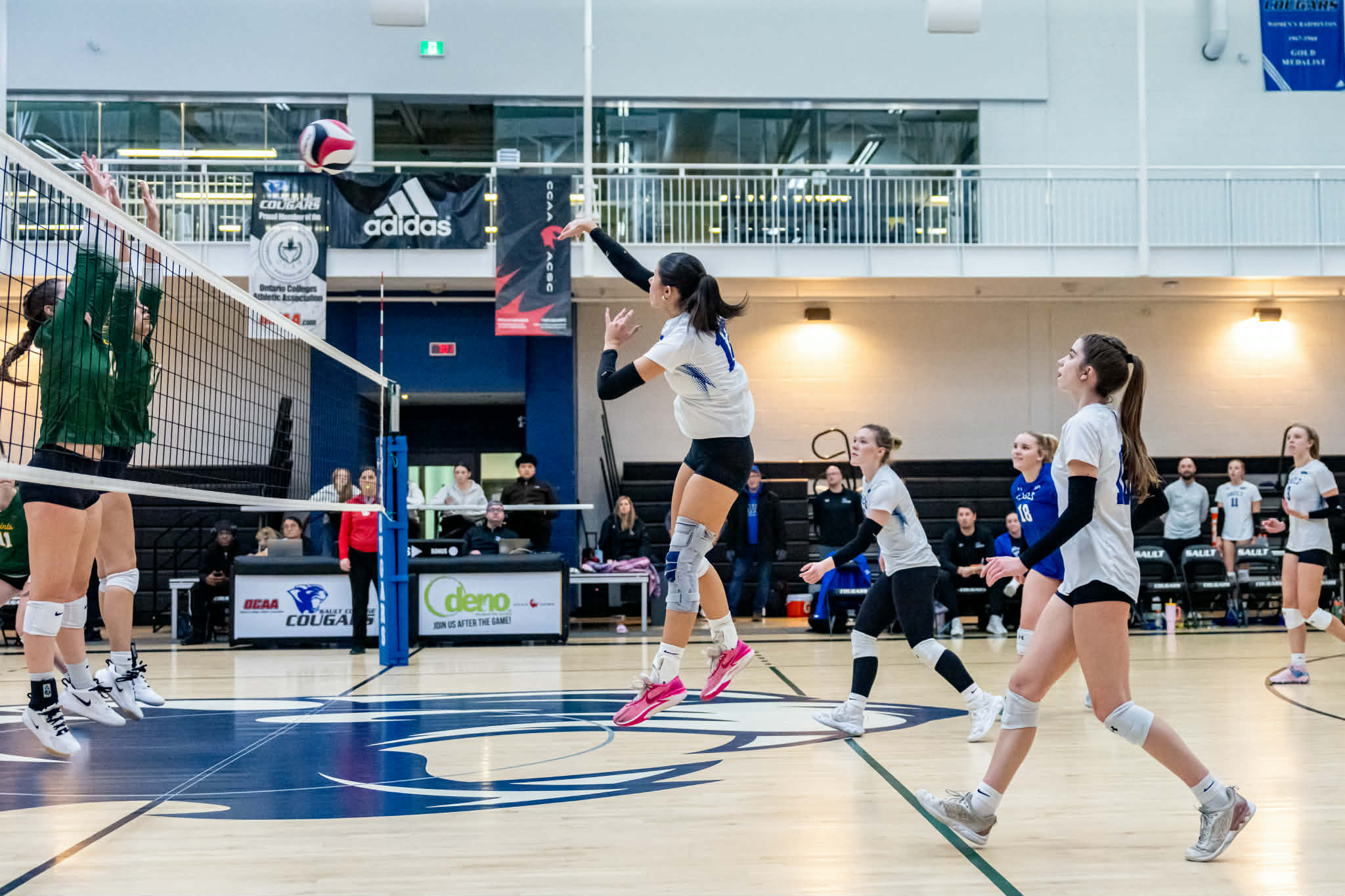 Cougars Drop Weekend Series to Saints in OCAA Women’s Volleyball Action