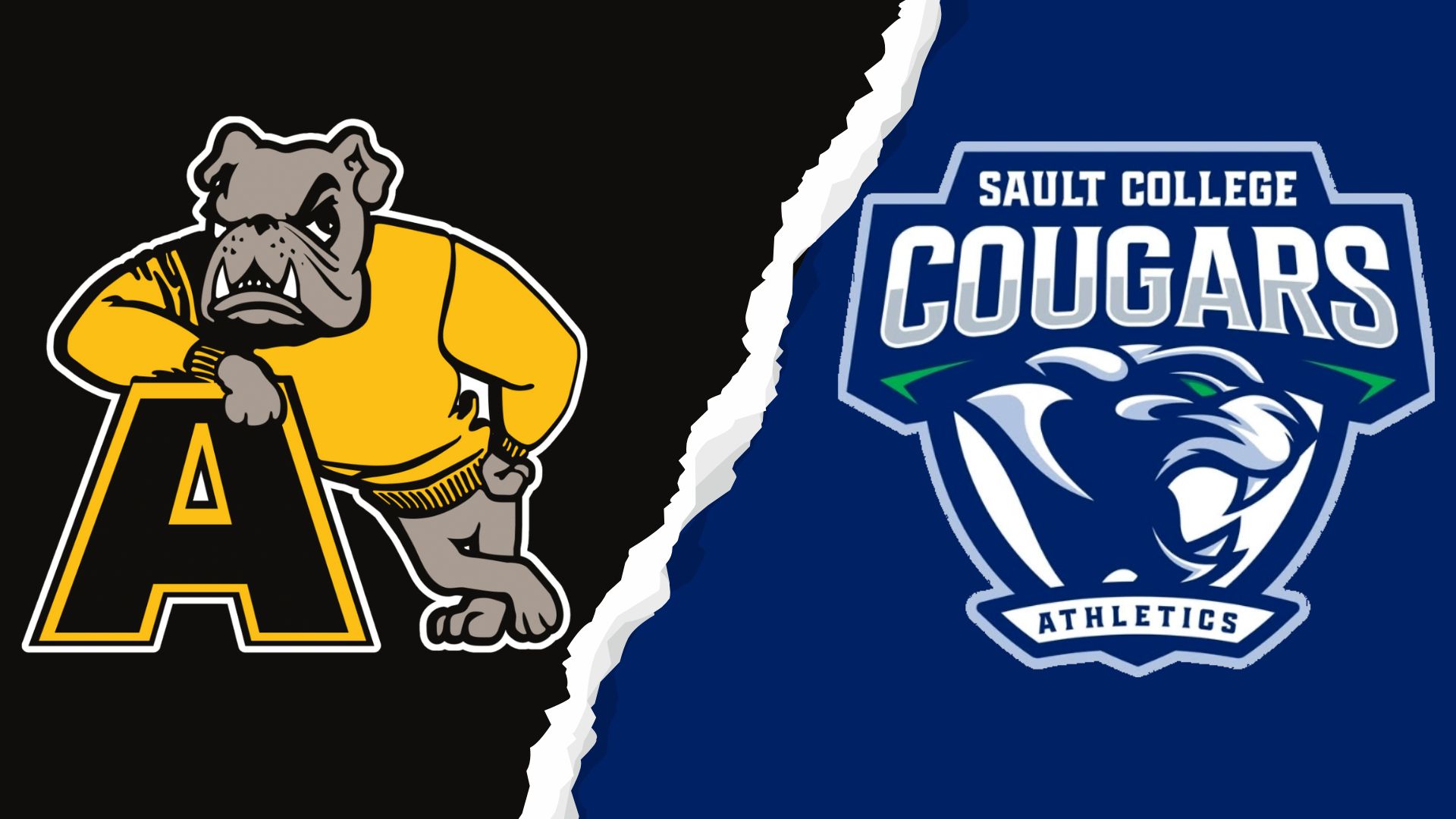 Cougars Split Weekend Series with Visiting Bulldogs, Set for River Rivalry Matchup November 16th