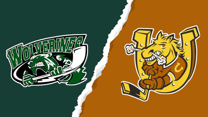 Korah Colts Power Past Wolverines in Convincing Win at the John Rhodes Centre