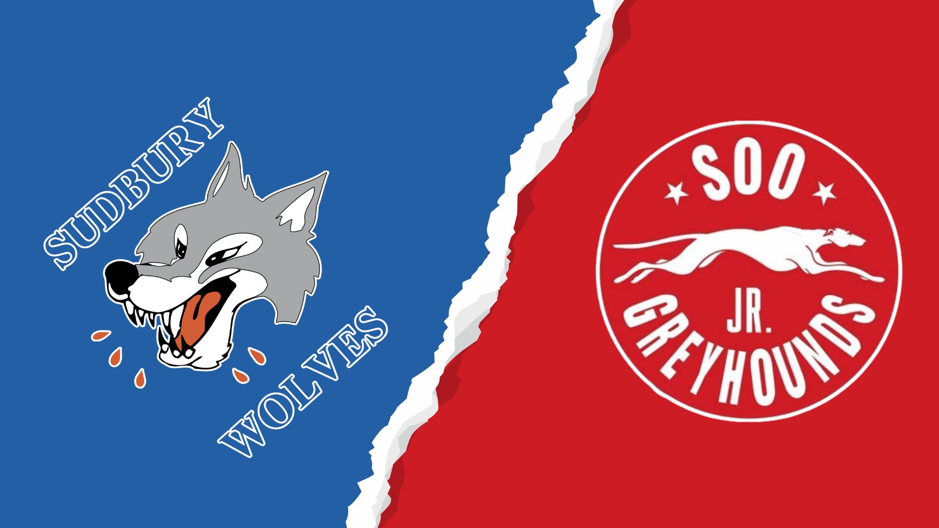 Greyhounds Sweep Weekend Series with Two Wins Over Visiting U16 Wolves