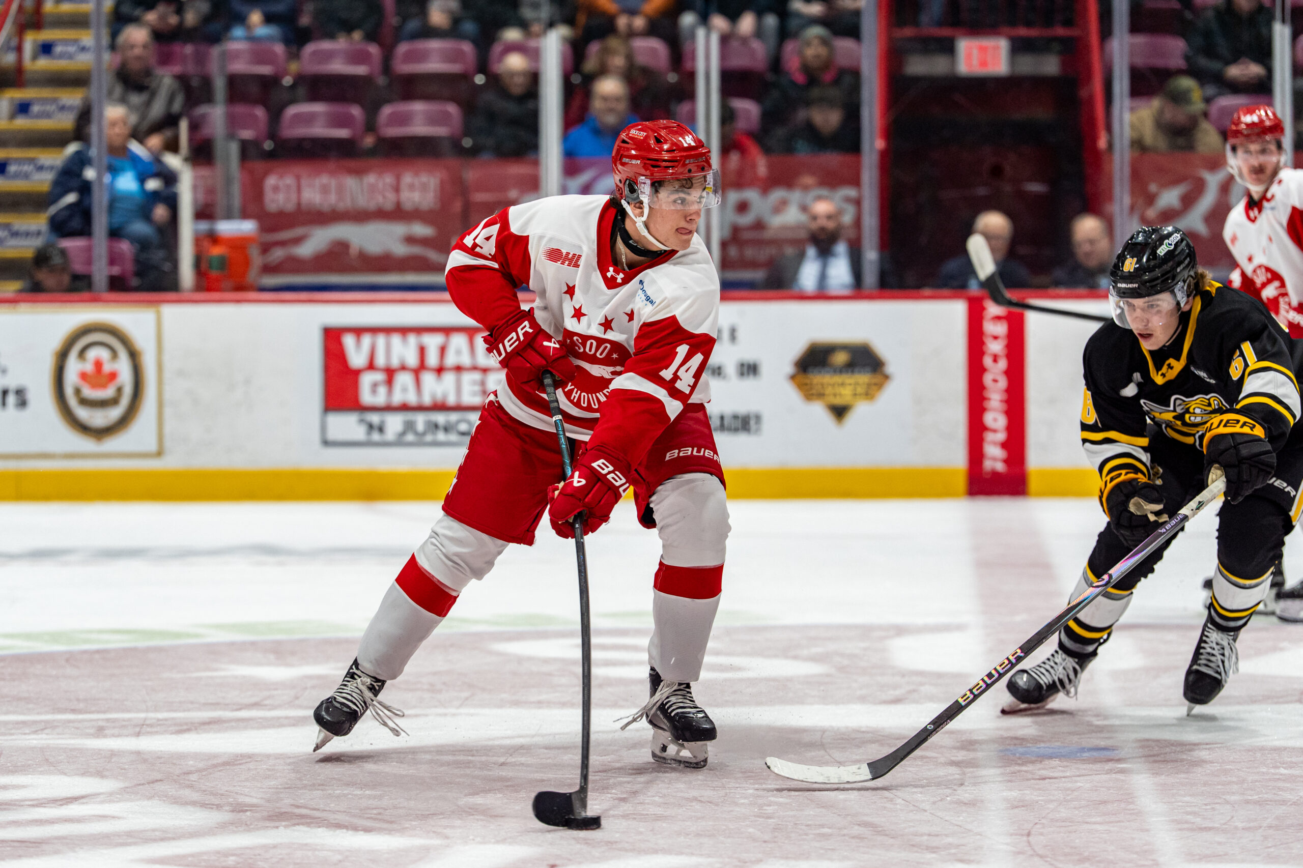 Greyhounds Stay Perfect Against the Sting With a Road Win in Sarnia