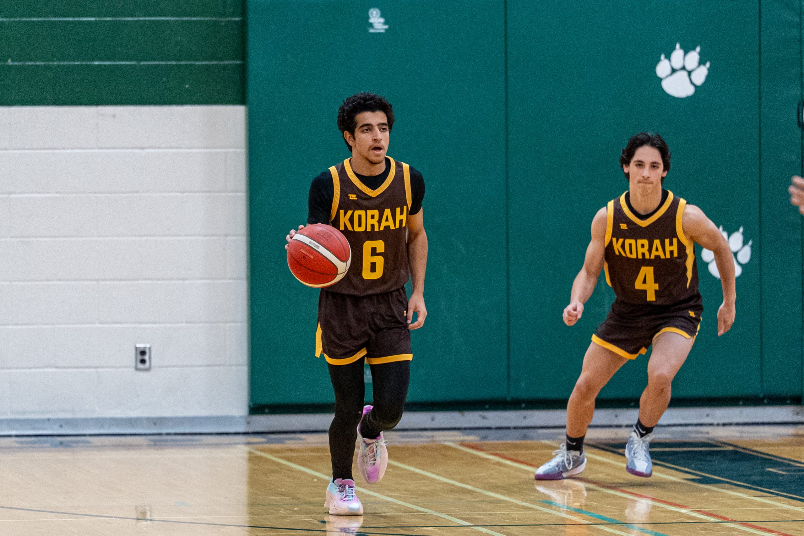 Wolverines, Knights Claim Key Wins in Busy Night of Sault High School Basketball to Close Out January 2026