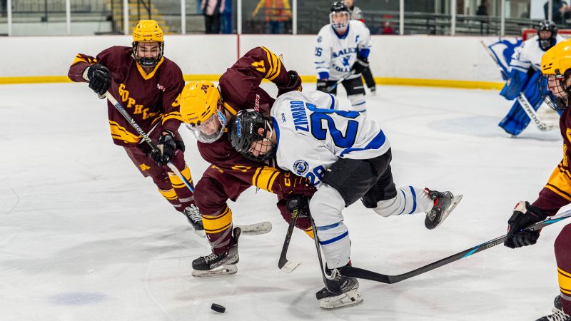 Cougars Split Weekend Series with Visiting Gophers After Rebounding from Montana Road Struggles