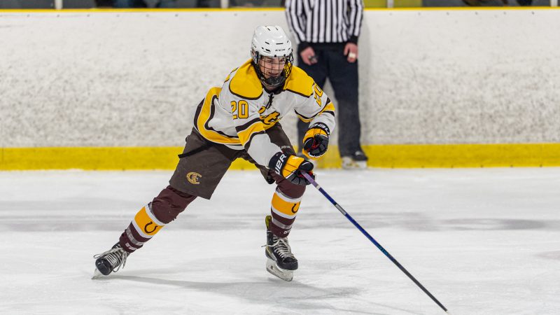 Colts Blank Wolverines in High School Hockey Action