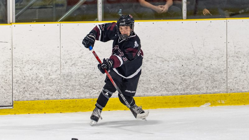 Knights Open Up 2026 with a Boys High School Hockey Win Over Wolverines