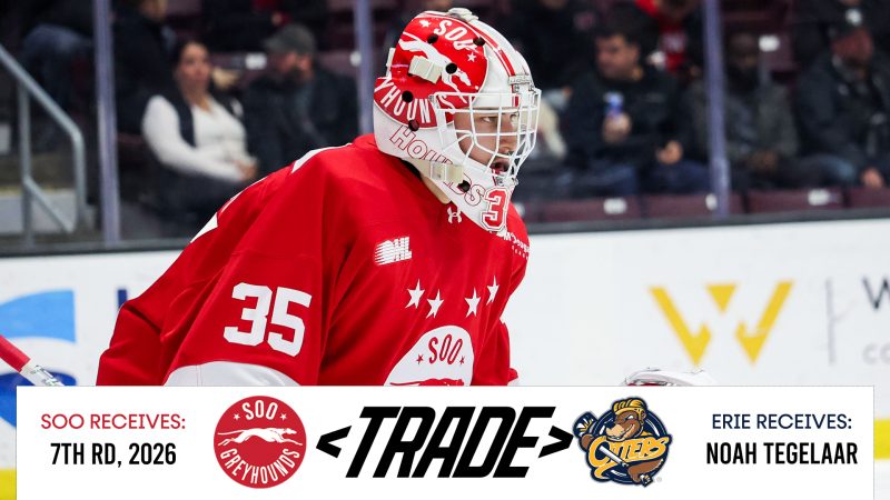 Greyhound Netminder Tegelaar Headed to Otters for Seventh Round Draft Selection