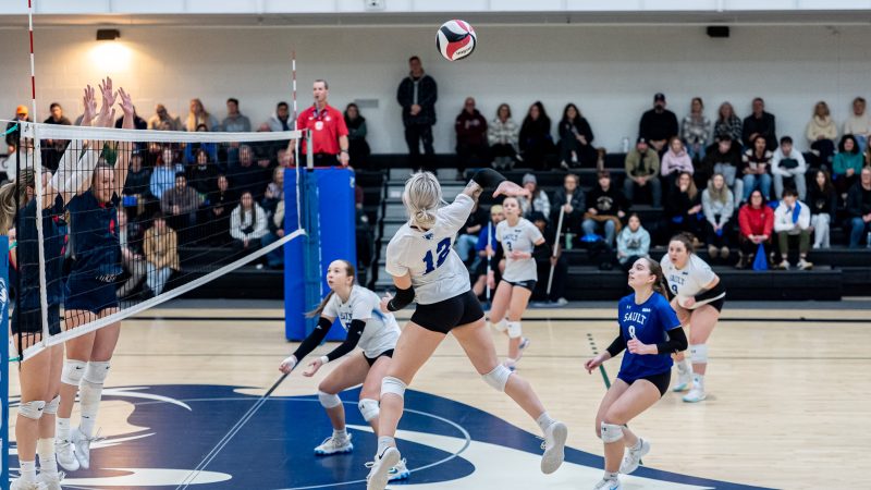 Redeemer Royals Hand Cougars Two Losses in Weekend Volleyball Series