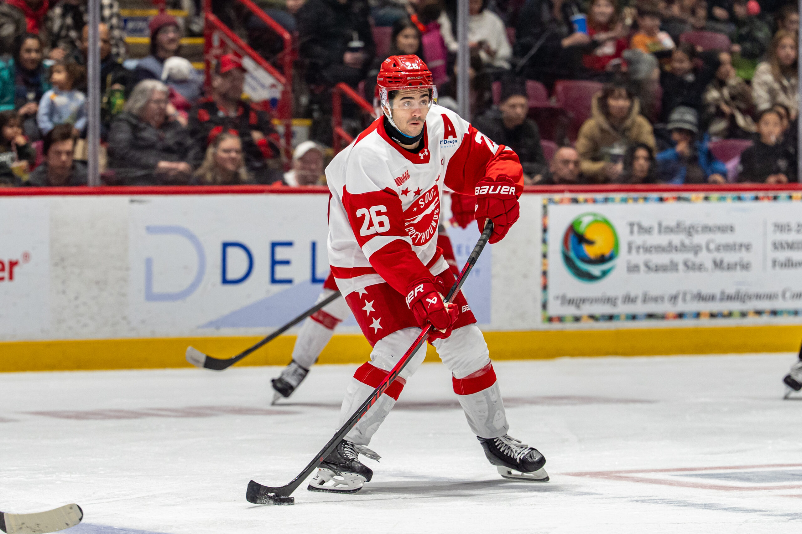 Mignosa’s Four-Point Night Powers Greyhounds Past Sting in Sault Ste Marie