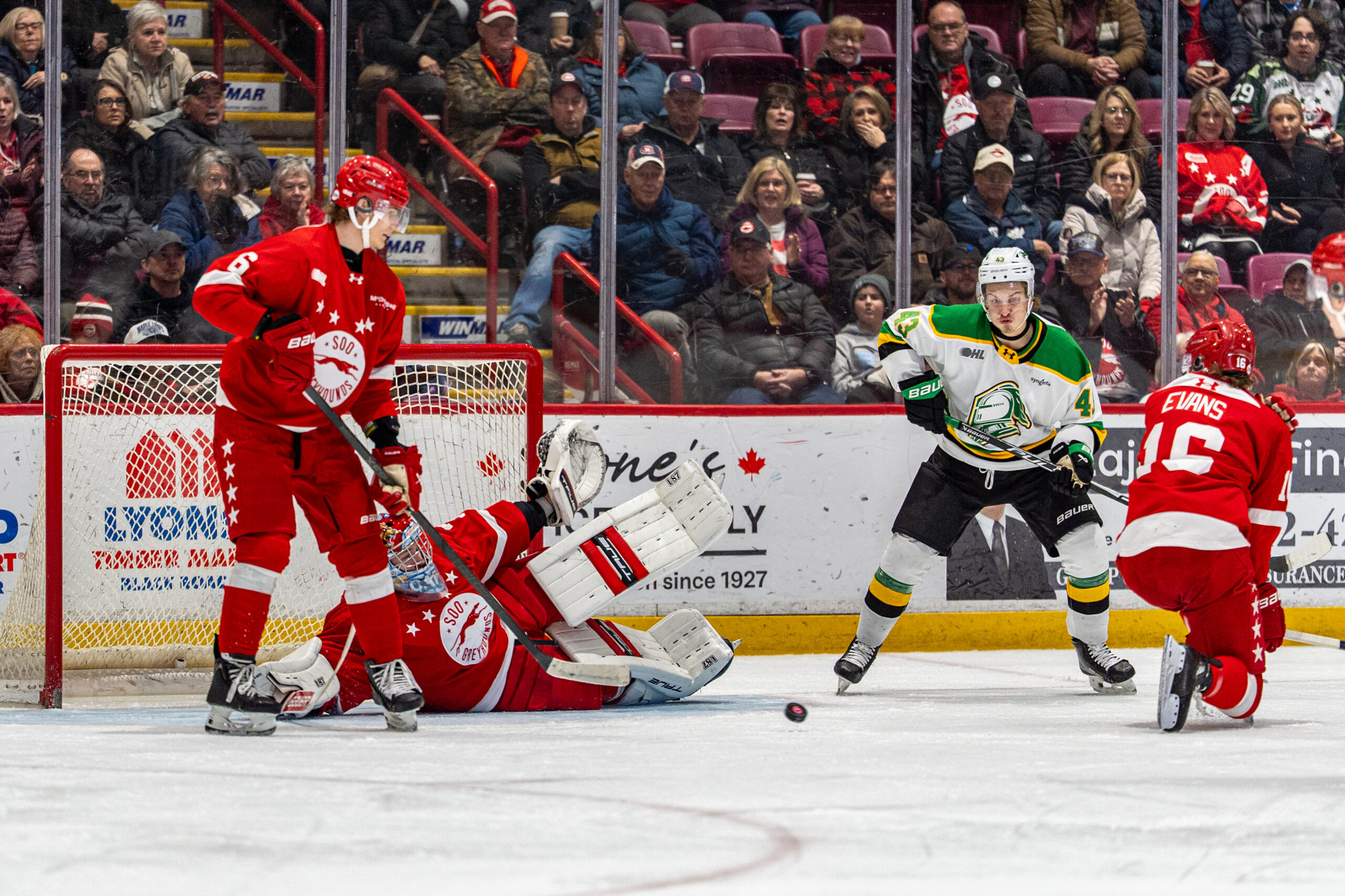Greyhounds Earn Point but Fall to Knights in Shootout Battle in London