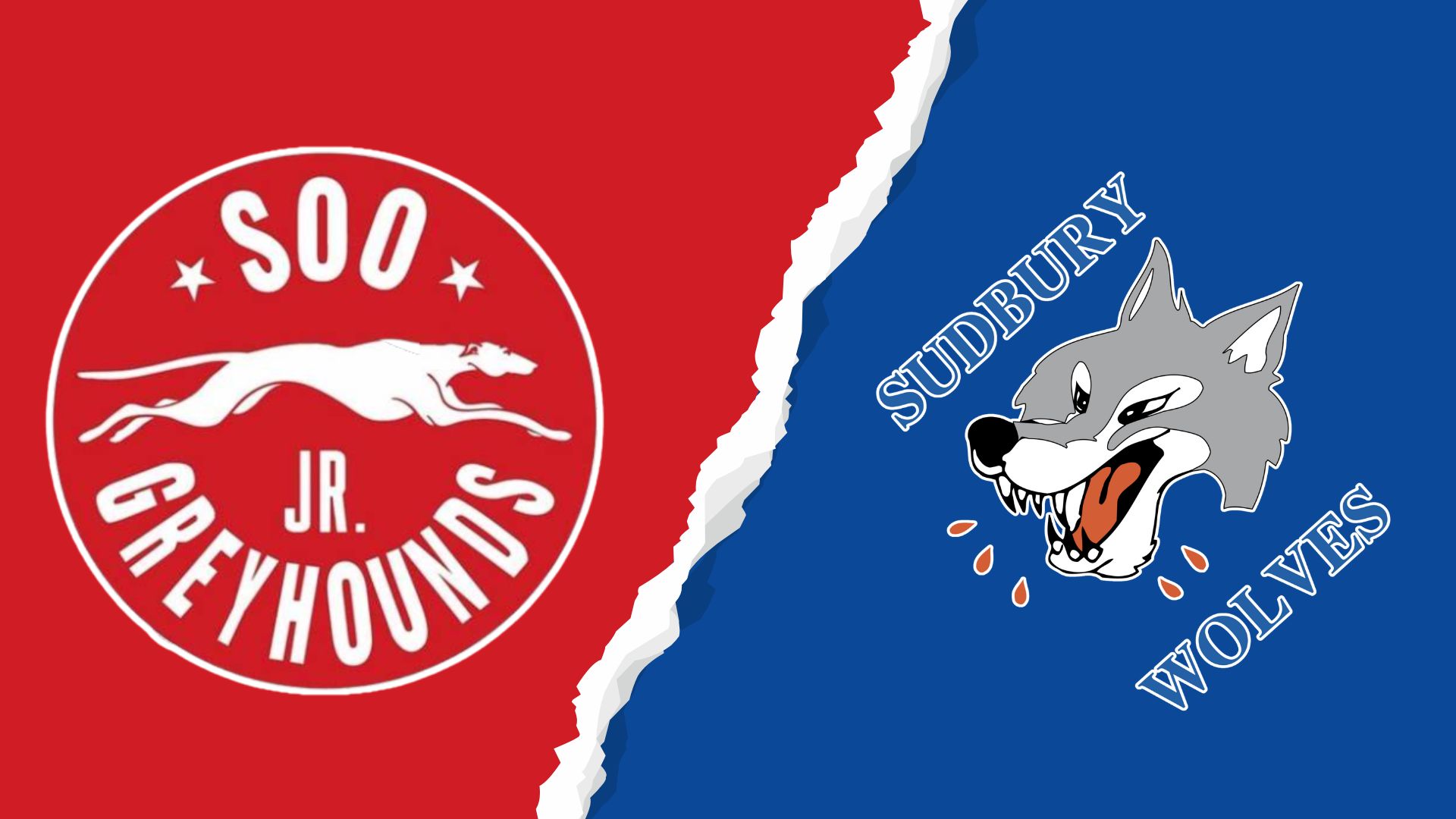 Greyhounds Sweep Sudbury Road Trip with Three Straight Wins in GNU18HL Action
