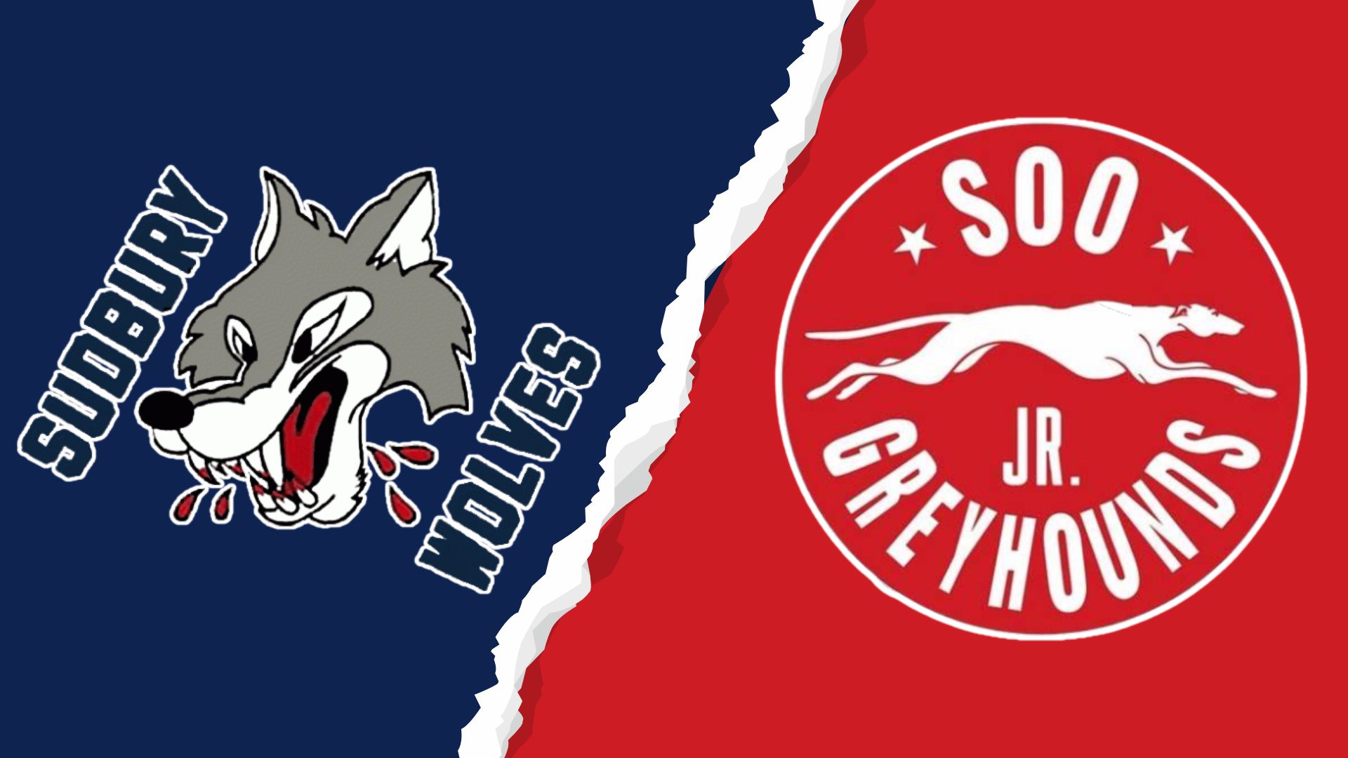 U15 Greyhounds Earn Road Series Win Over Wolves in High-Scoring NOHA AAA Weekend in Sudbury