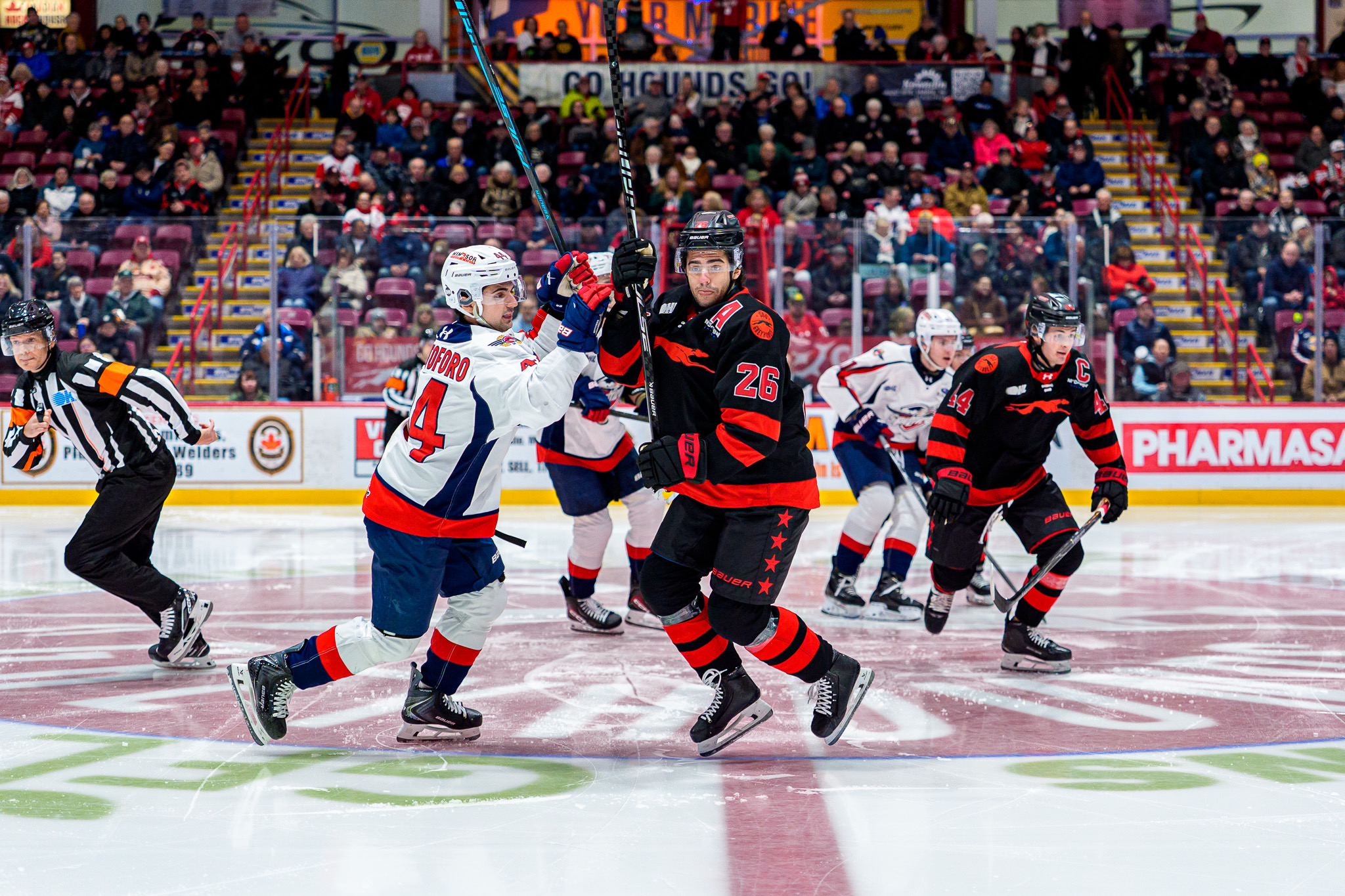 Greyhounds Ride Fast Start Past Spitfires in Matinee Win at Memorial Gardens