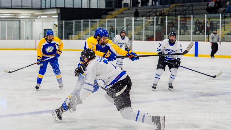 Cougars Sweep Lakers on Senior Night Weekend, Close Regular Season with Back-to-Back Shutouts at Home